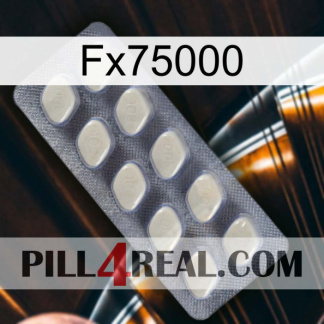 Fx75000 08